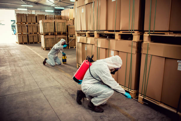 Best Mosquito Control Services  in Garden City, NY
