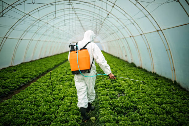 Best Pest Control Cost  in Garden City, NY