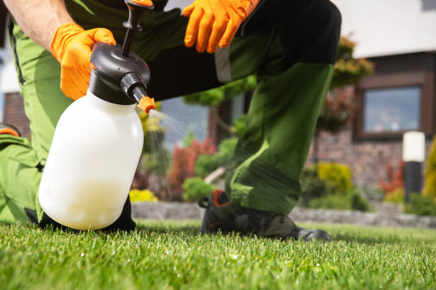 Best Pest Prevention Services  in Garden City, NY
