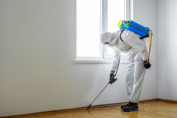 Best Termite Control Services  in Garden City, NY