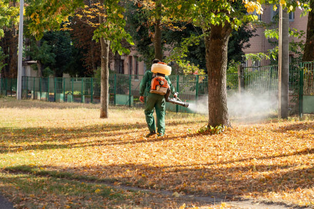 Best Mosquito Control Services  in Garden City, NY