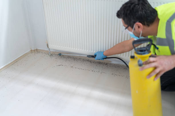 Best Affordable Pest Control Services  in Garden City, NY