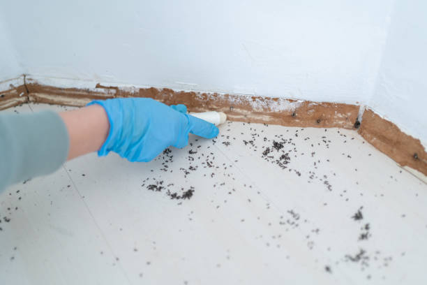 Best Exterminator Services  in Garden City, NY